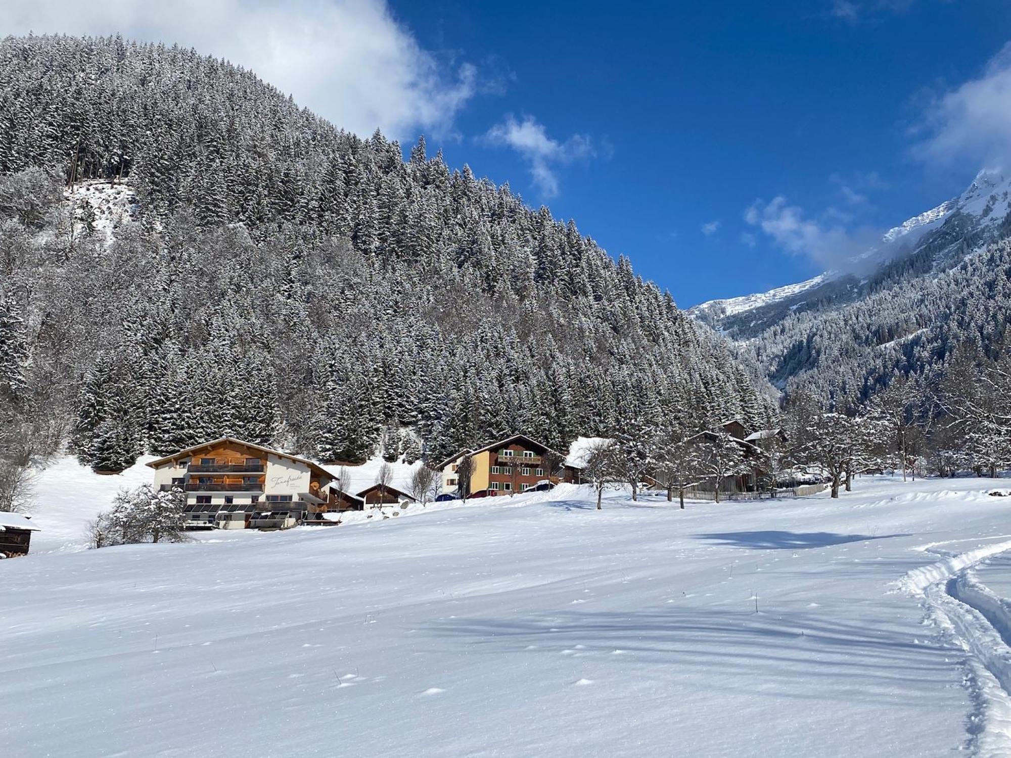 Ferienwohnung Tanafreida Berg-Refugium Sankt Gallenkirch Exterior foto